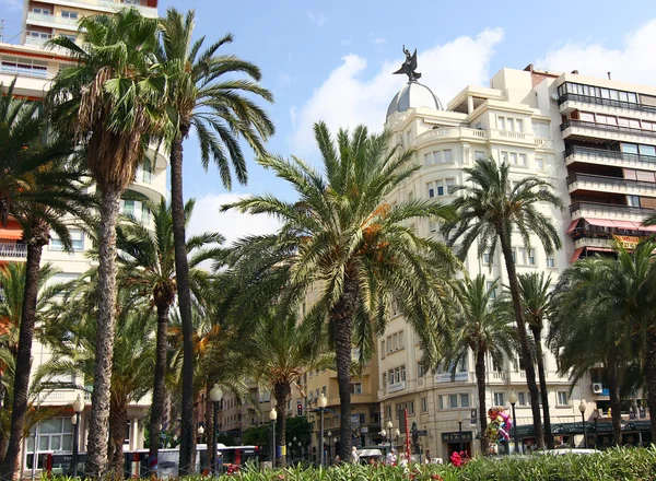 Byggnader och palmer typiska staden alicante Spanien — Stockfoto