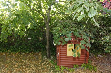 Playhouse preserved under a tree full of leaves clipart