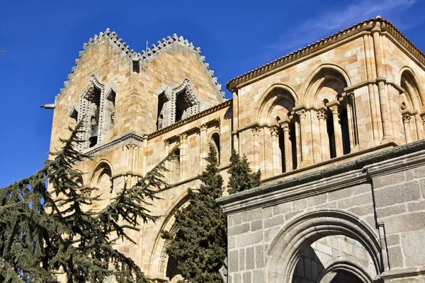 Подробности о базилике Сан-Висенте в Авиле, Испания — стоковое фото