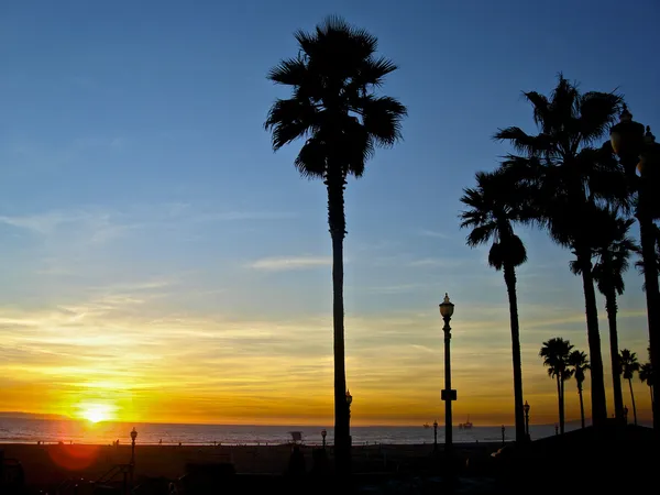 Palmen im farbenfrohen Sonnenuntergang lizenzfreie Stockbilder