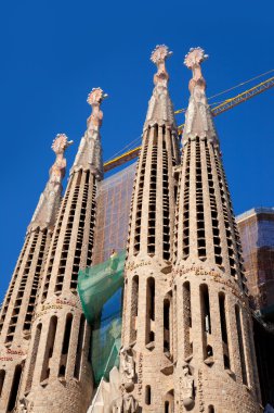 Barcelona sagrada familia Katedrali gaudi tarafından