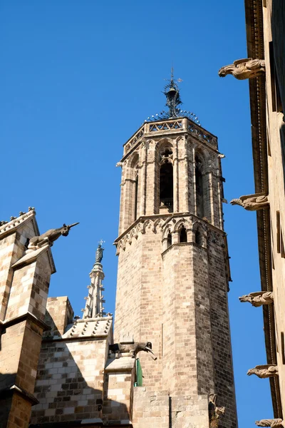 stock image Cathedral of Barcelona Seu Seo