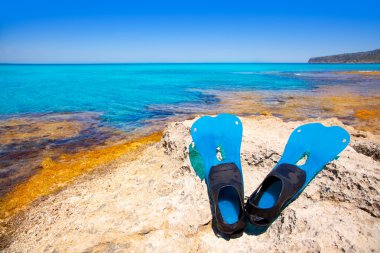 Balear formentera Adası dalış yüzgeçleri ile