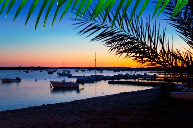 Formentera sunset in se estany des peix clipart