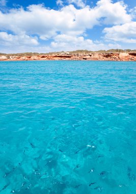 Cala saona Beach'te formentera ile balıkçı