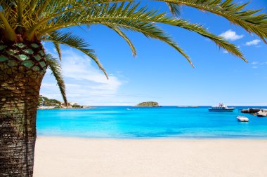 Ibiza Patja des Canar beach with turquoise water clipart
