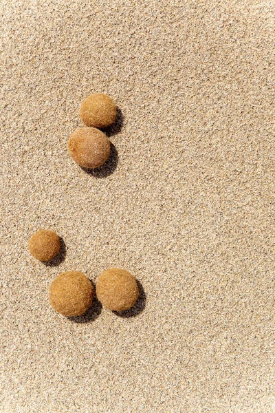 stock image Posidonia oceanica fruits on a mediterranean beach
