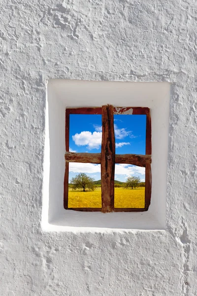 Balearic islands golden wheat field through window — Stock Photo, Image