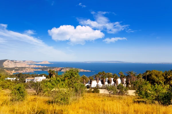 Ібіца золотому полі високий з видом на острів Форментера — стокове фото