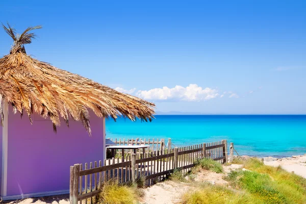 Cabana roxa tropical Formentera na praia turquesa — Fotografia de Stock