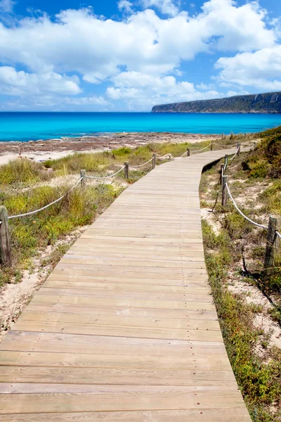 Balearic Formentera island wood beach way — Stock Photo, Image