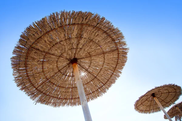 Hut sunroof umbrella on dried grass with lens flare — Stock Photo, Image