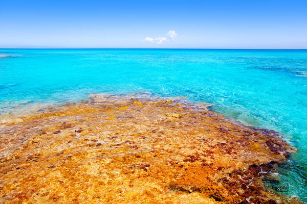 Formentera es calo plaży z turkusowym morzem — Zdjęcie stockowe