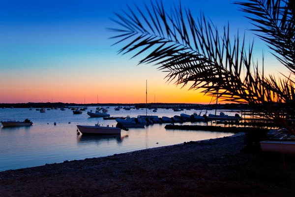 Coucher de soleil Formentera en se estany des peix — Photo