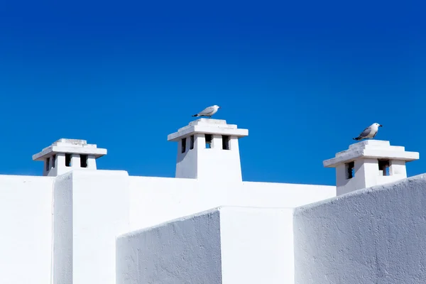 Balearic Mediterranean white houses with seagull — Stock Photo, Image