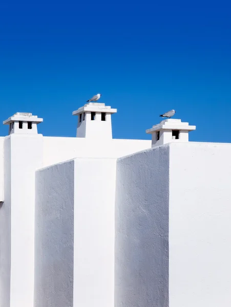 巴利阿里地中海白色房子与海鸥 — 图库照片