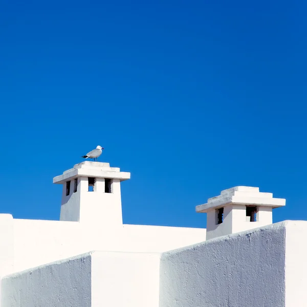 Balearic Mediterranean white houses with seagull — Stock Photo, Image