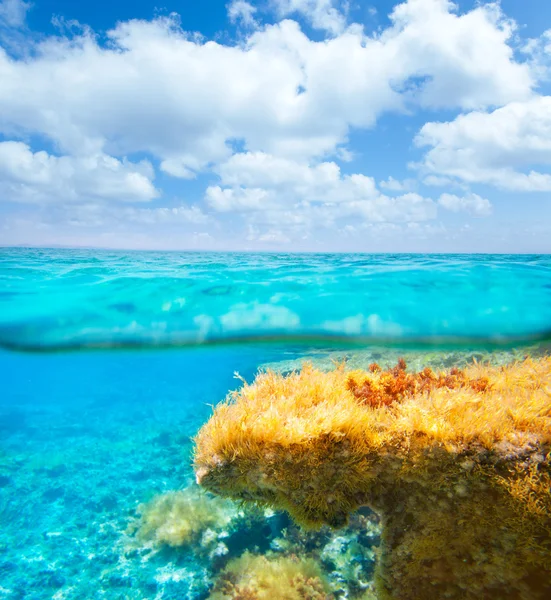 Ibiza Formentera subaquática linha de água céu azul — Fotografia de Stock