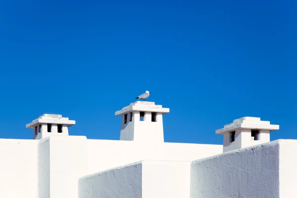 巴利阿里地中海白色房子与海鸥 — 图库照片