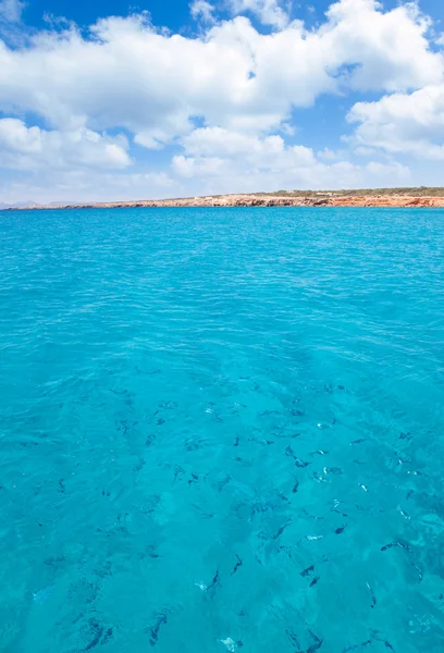Cala Saona Strand in Formentera mit Fischen — Stockfoto