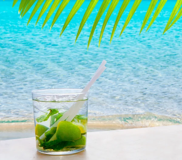 Mojito cocktail with peppermint leaves and lemon — Stock Photo, Image