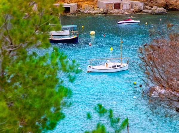 Cala Vadella in Ibiza island with turquoise water — Stock Photo, Image