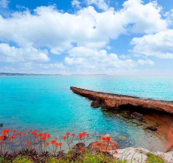 stock image Ibiza San antonio Abad Sant Antoni de Portmany