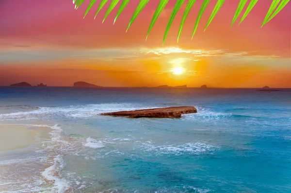 Ibizas cala conta comte compte sunset — Stockfoto