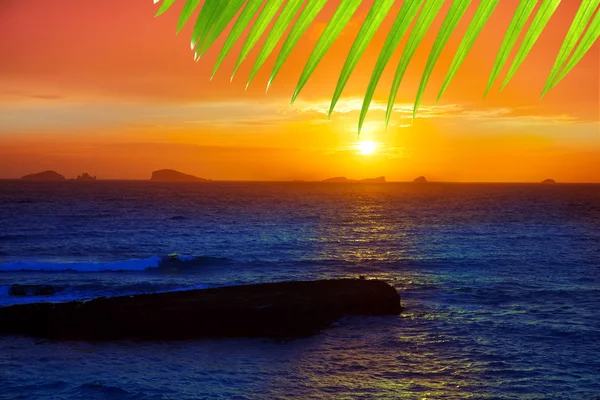 Ibiza Cala Conta Comte Compte sunset — Stock Photo, Image