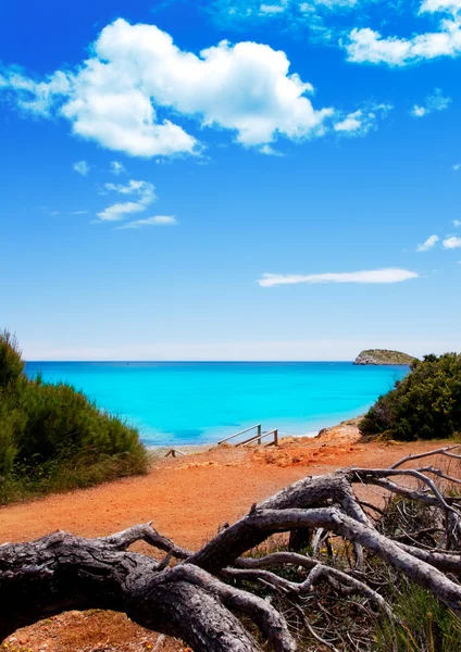 Cala nova plaj turkuaz su ile Ibiza Adası — Stok fotoğraf