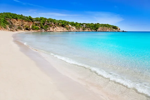 Turkuaz suya: Balear ile Ibiza Cala llenya — Stok fotoğraf