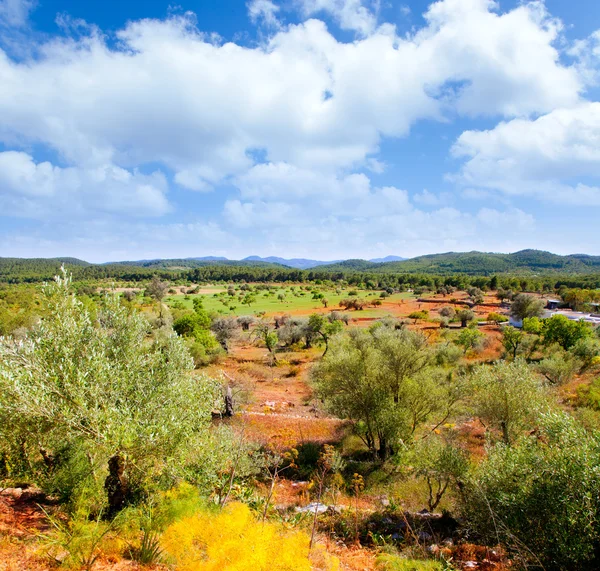 Ilha de Ibiza paisagem com campos agrícolas — Fotografia de Stock