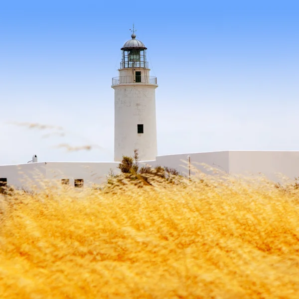 La mola Leuchtturm in Formentera mit goldenem Gras — Stockfoto