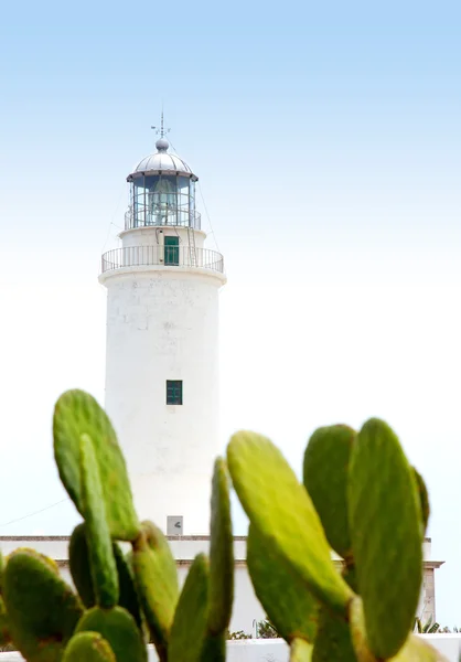 La mola 灯塔在福门特拉岛与胭脂仙人掌仙人掌 — 图库照片