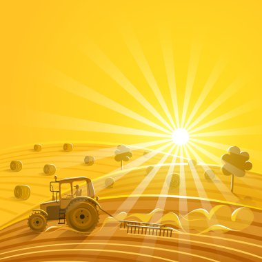 Harvesting on the sunny background