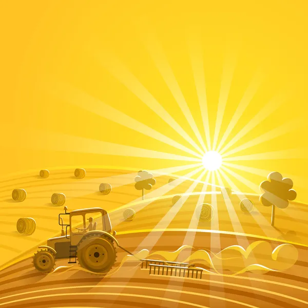 Сбор урожая на солнечном фоне — стоковый вектор