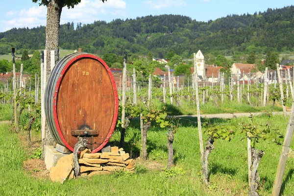 stock image Wine barrel in the vineyard