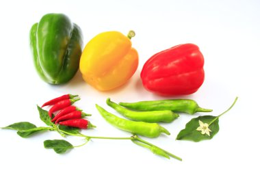 Different bell peppes and chilis clipart