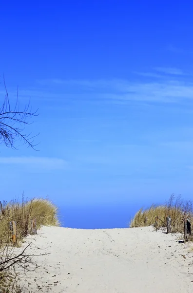 Путь к пляжу (Балтийское море) ) — стоковое фото