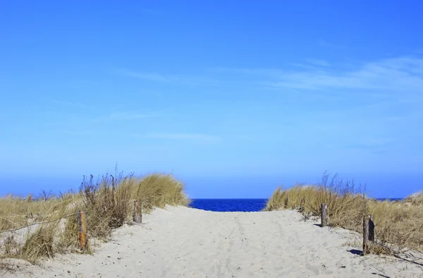 Caminho para a praia (Mar Báltico ) — Fotografia de Stock
