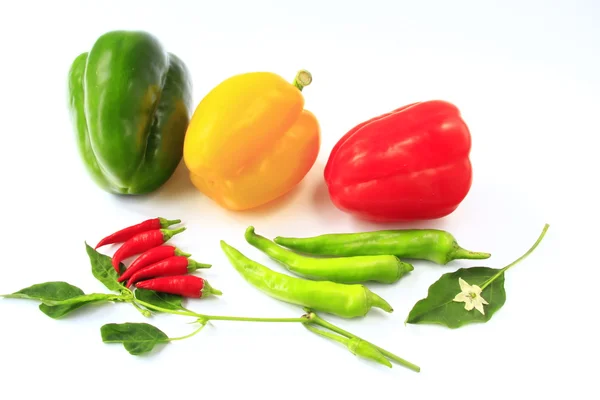 stock image Different bell peppes and chilis