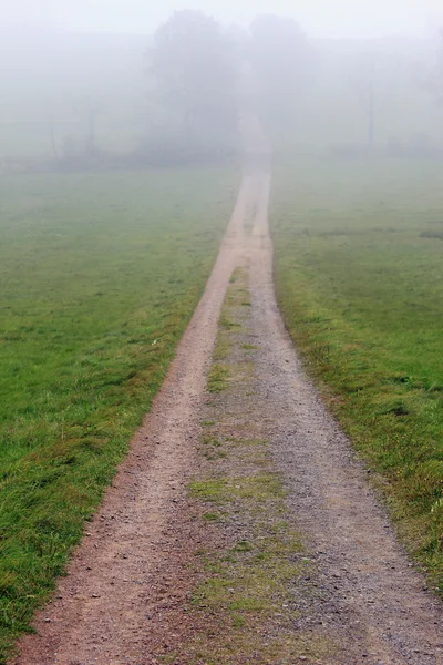 Hiking trail in fog — Stock Photo, Image