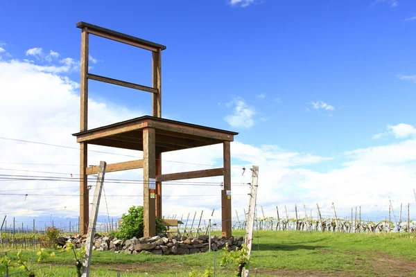 Grote stoel in de wijngaarden (Duitsland) — Stockfoto