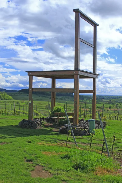 Великий крісло в виноградників (Німеччина) — стокове фото