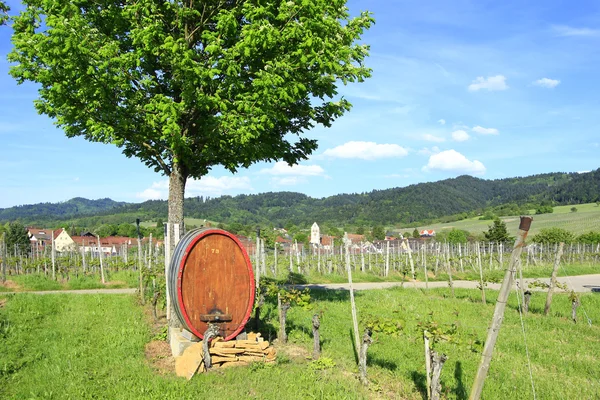 Tonneau de vin dans les vignes (Allemagne ) — Photo