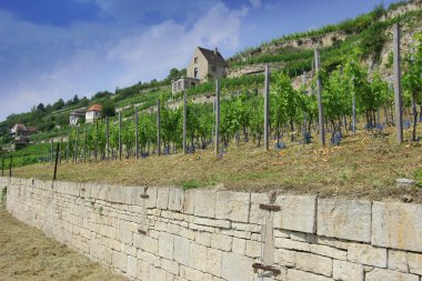 Franciacorta bölgesini saale-unstrut, Almanya