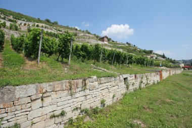 Franciacorta bölgesini saale-unstrut, Almanya