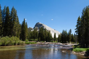 Yosemite Ulusal Parkı Kaliforniya 'da