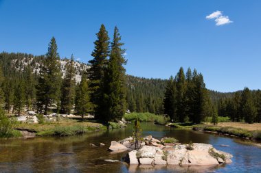 Yosemite Ulusal Parkı Kaliforniya 'da