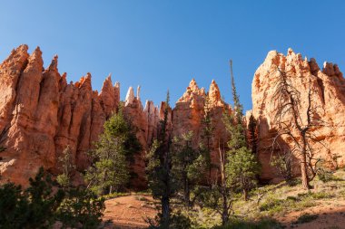 Utah 'taki Bryce Canyon Ulusal Parkı